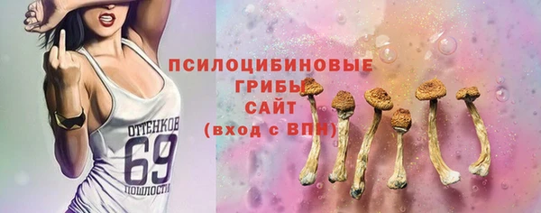 стаф Арсеньев