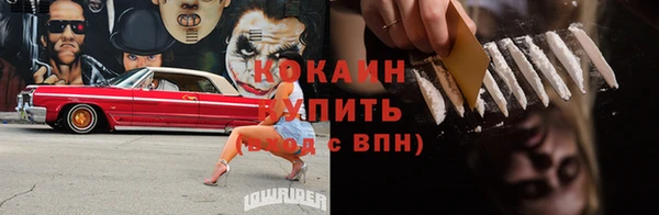 крисы Армянск