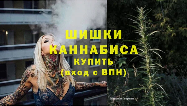 крисы Армянск
