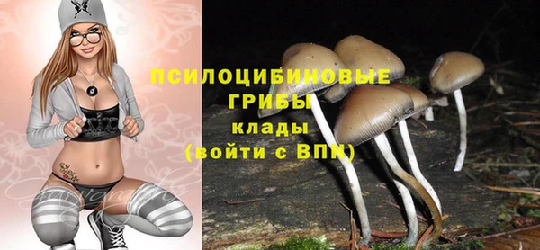 стаф Арсеньев